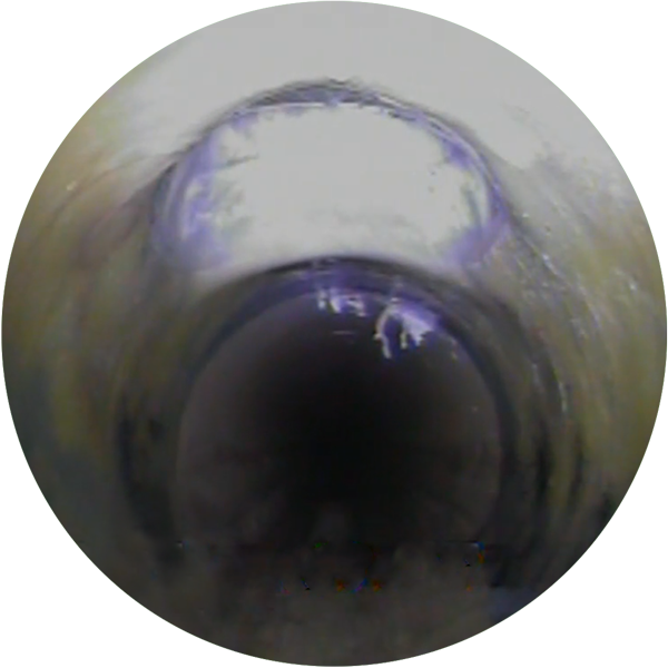 LJR_5.png